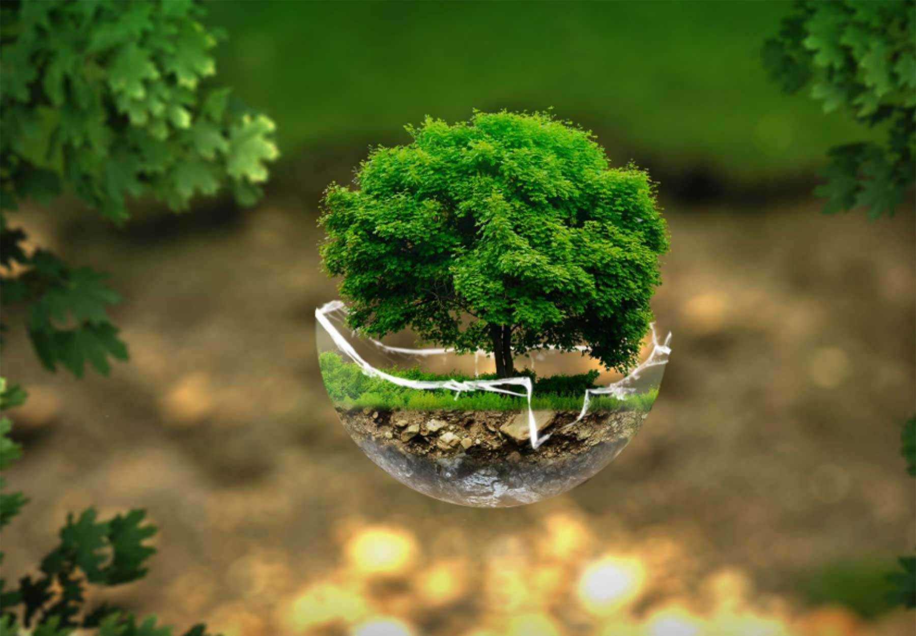 ¿Por qué 2025 será un año decisivo para la acción climática?