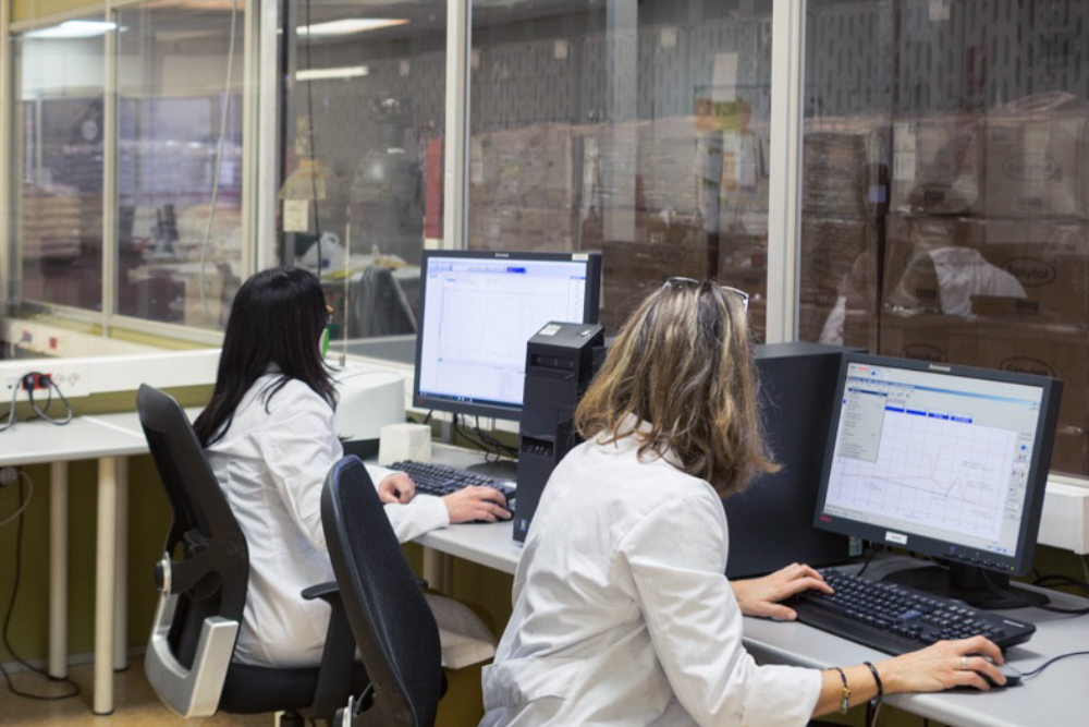 We Invest in Knowledge: Internal Training to Grow Together