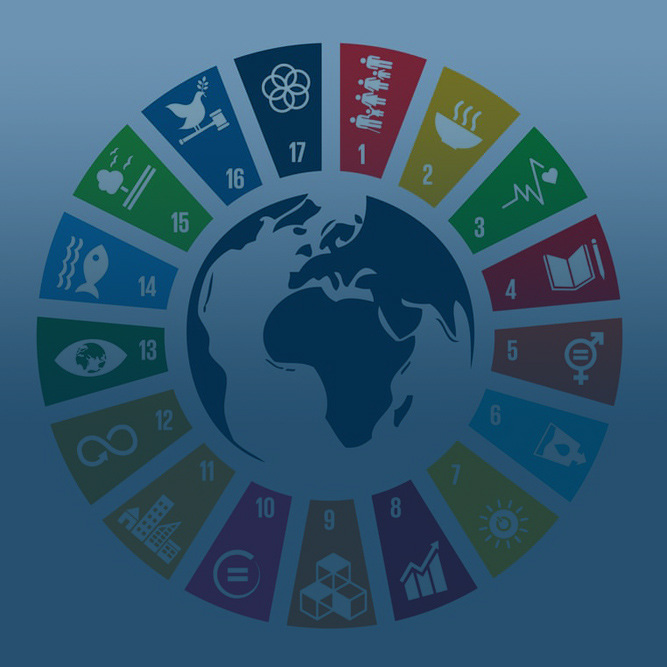 Objetivos 2025 cumplidos: innovación, sostenibilidad y calidad como motor de todo lo que hacemos