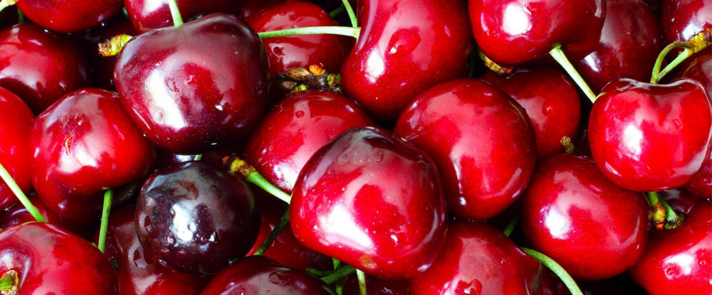 Sanyhot y Fulltrading estarán presentes en Global Cherry Summit 2026